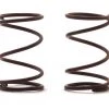 RJ Speed Legends Front Springs (2)