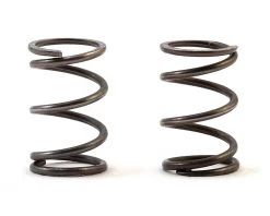 RJ Speed Pan Car Rear Spring
